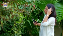 Ehsaan Faramosh - Episode 22 - 6th September 2023